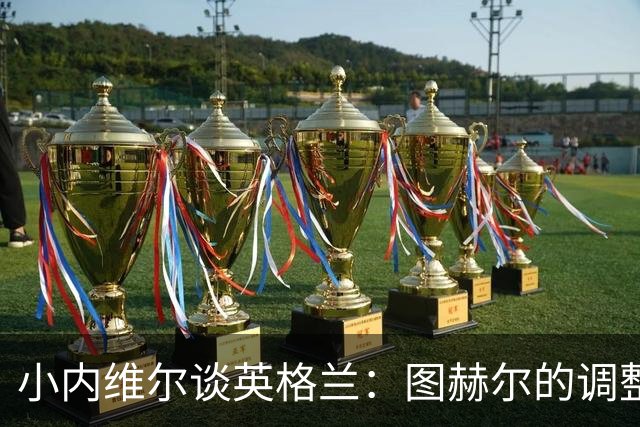 小内维尔谈英格兰：图赫尔的调整很出色 任何言语都形容不了凯恩