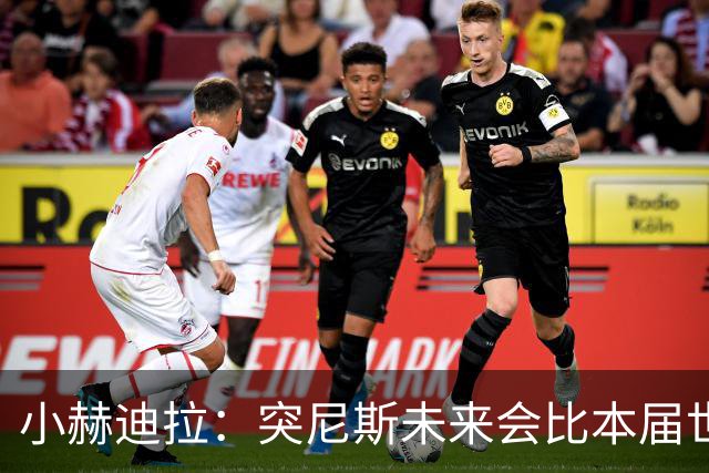 小赫迪拉：突尼斯未来会比本届世界杯更好 批评？我已经付出全力
